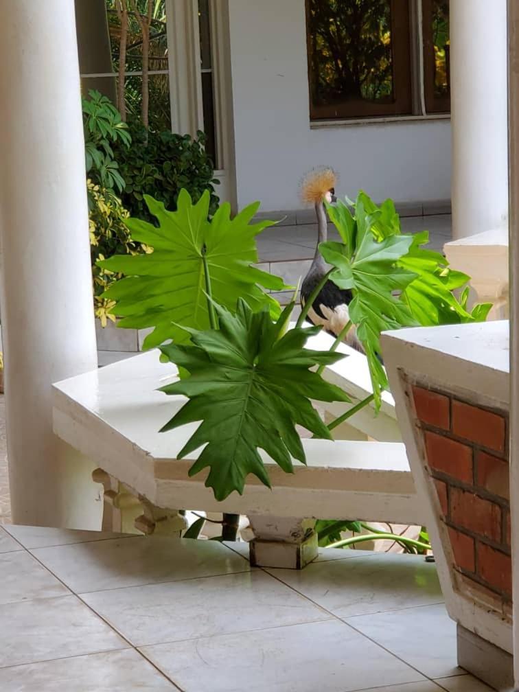 Kiriri Residence Hotel Bujumbura Exterior photo
